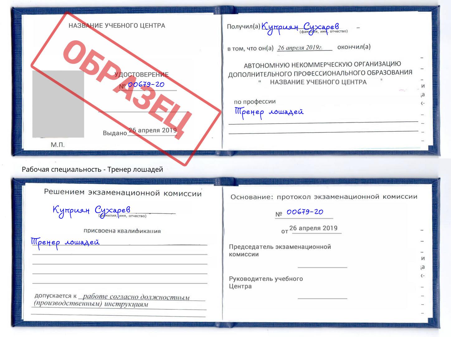 Тренер лошадей Сарапул
