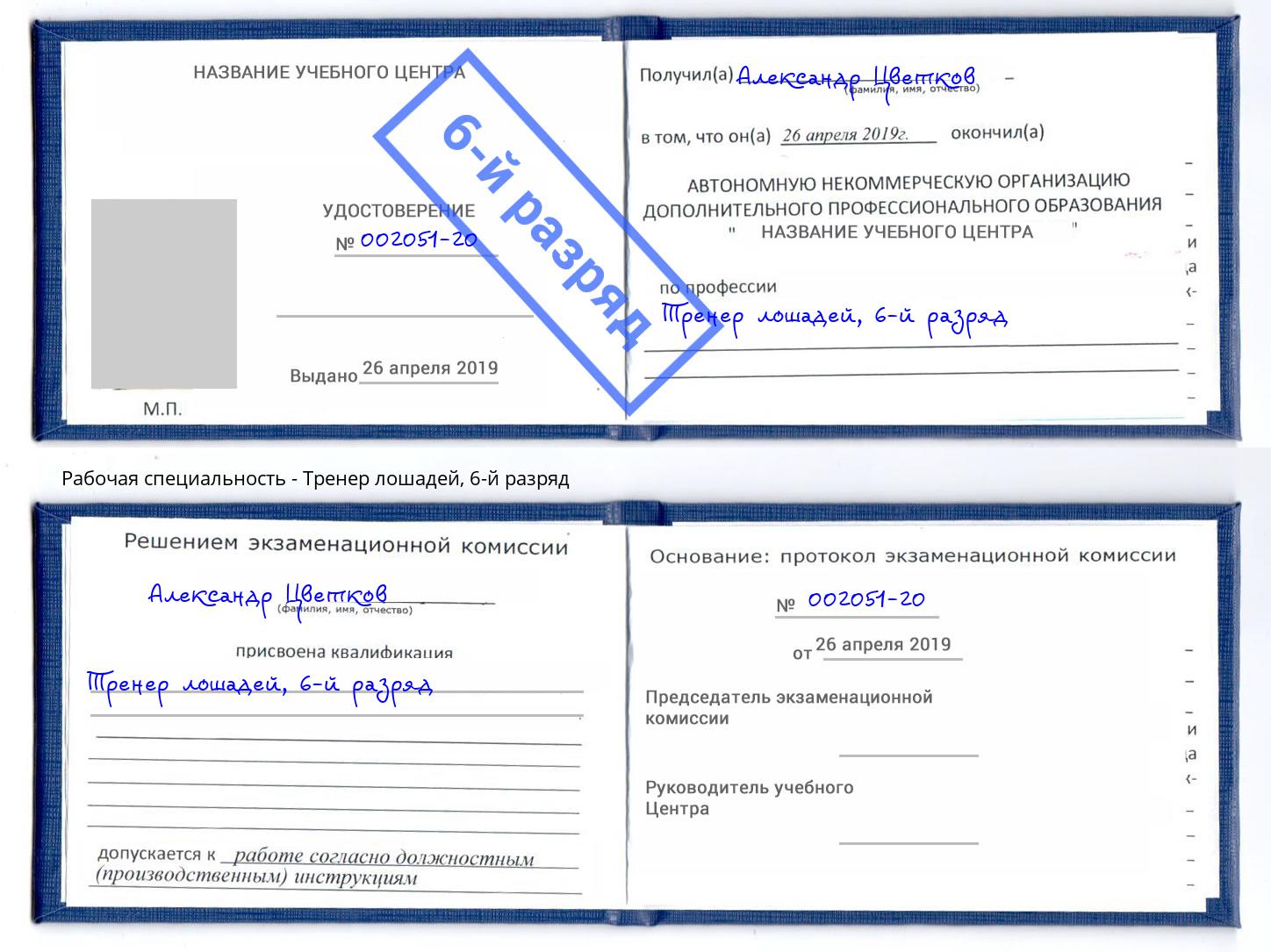 корочка 6-й разряд Тренер лошадей Сарапул
