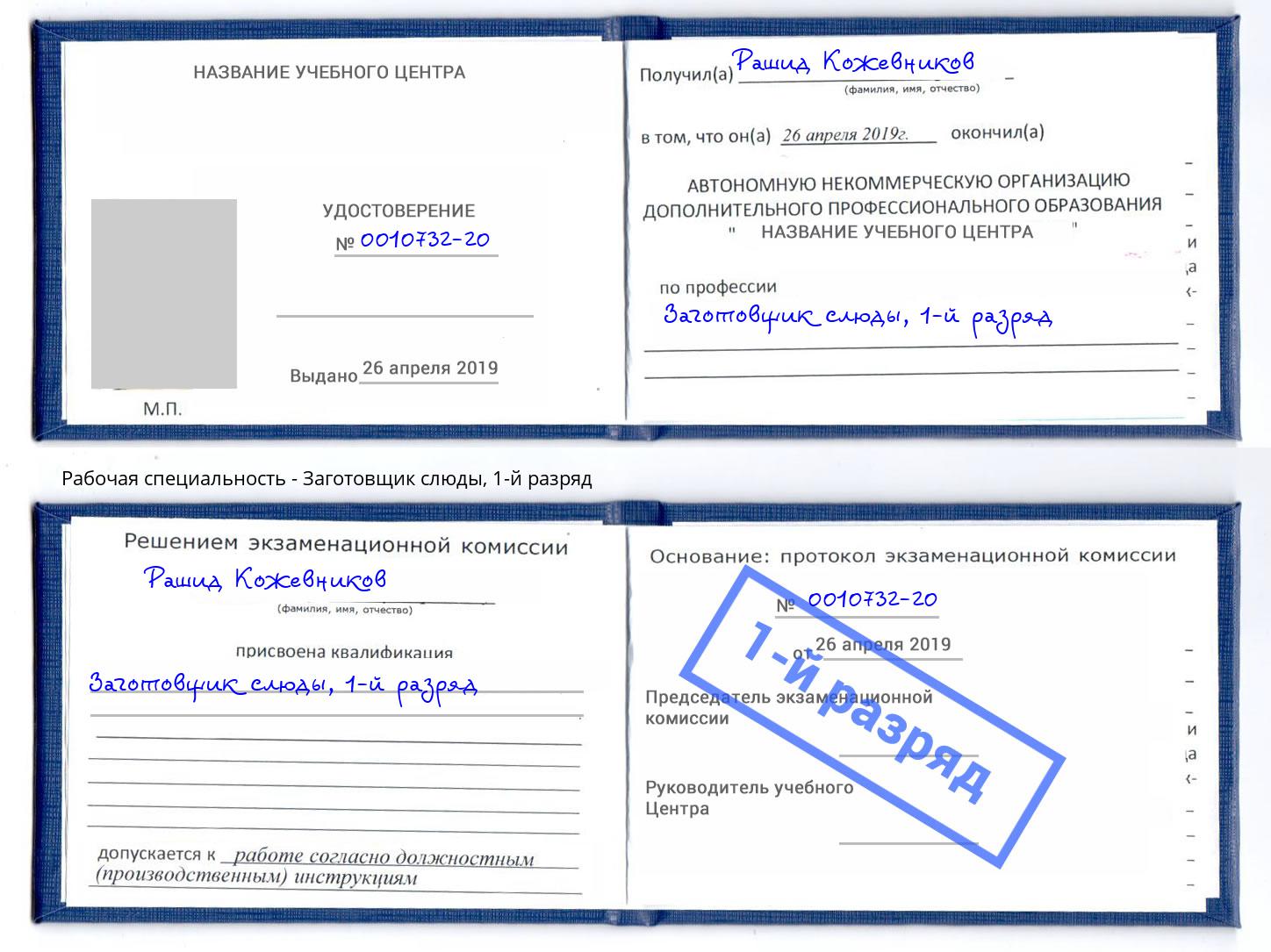 корочка 1-й разряд Заготовщик слюды Сарапул